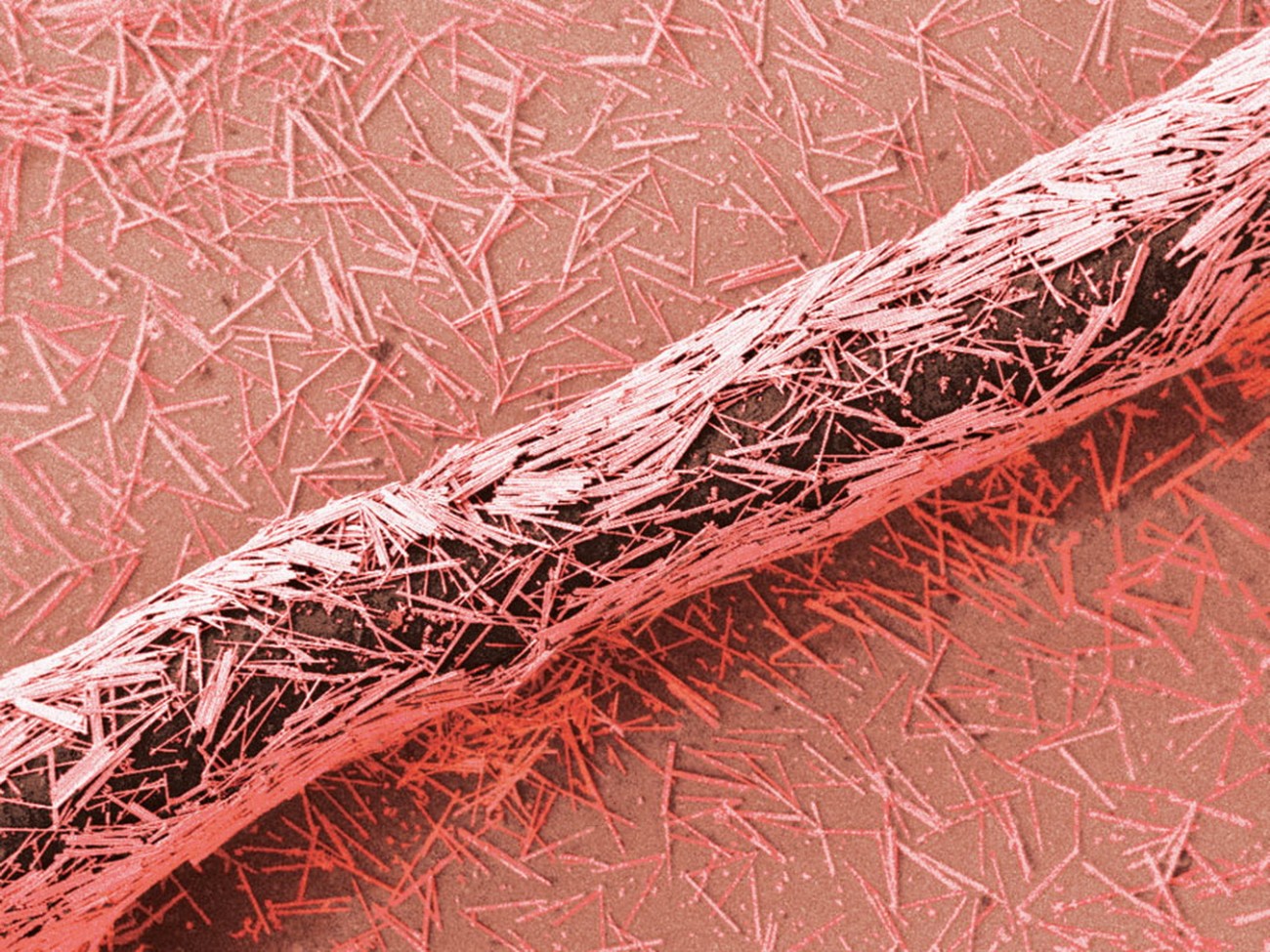 Haar mit CuPt Nanotubes