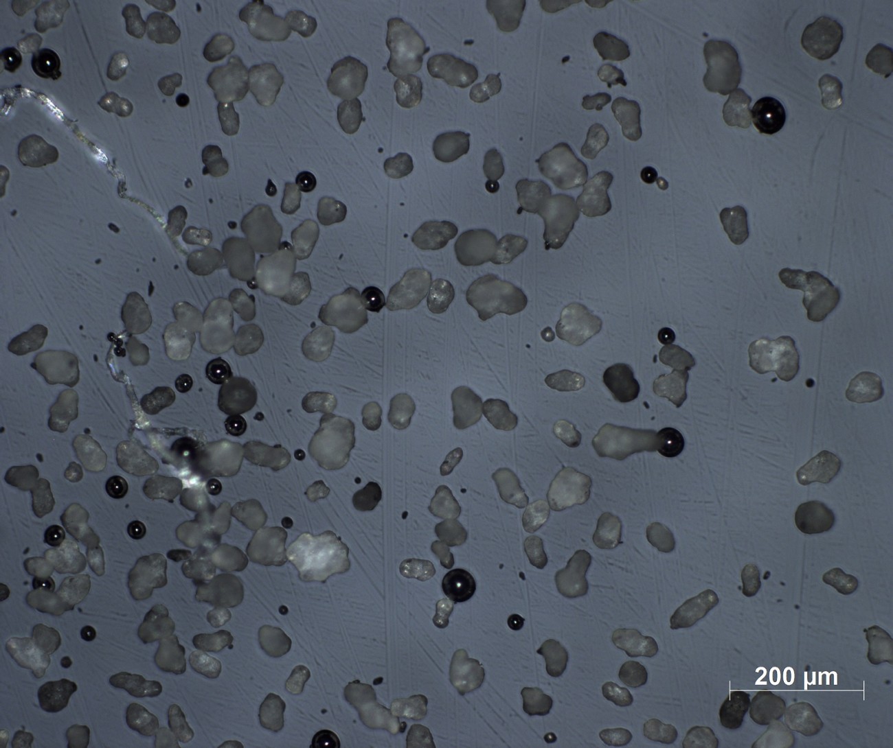 small particles under a light microscope