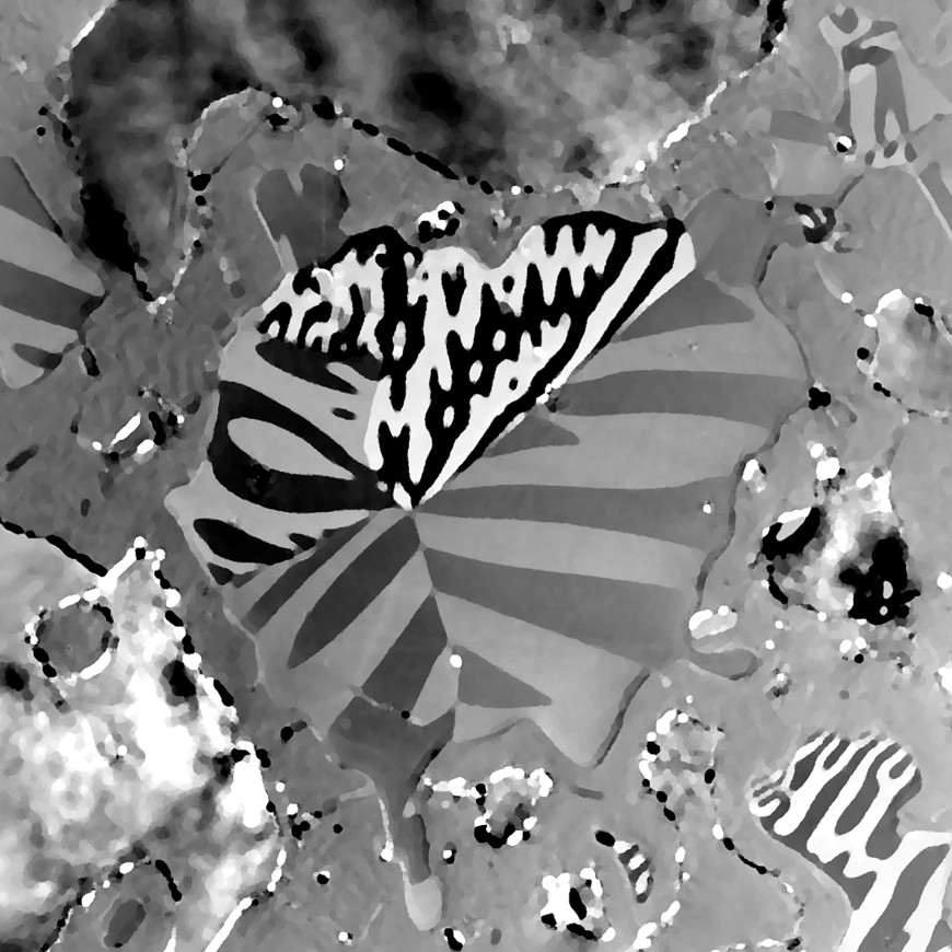 Kerr microscopy from a Nd-Fe-Ti sample after high temperature annealing.