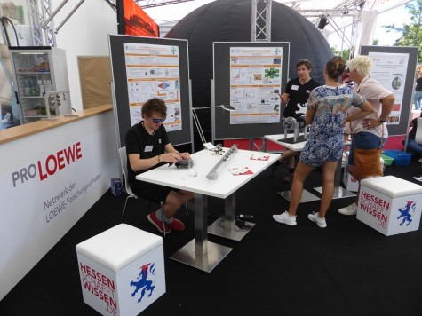 LOEWE Response auf dem Hessentag in Rüsselsheim