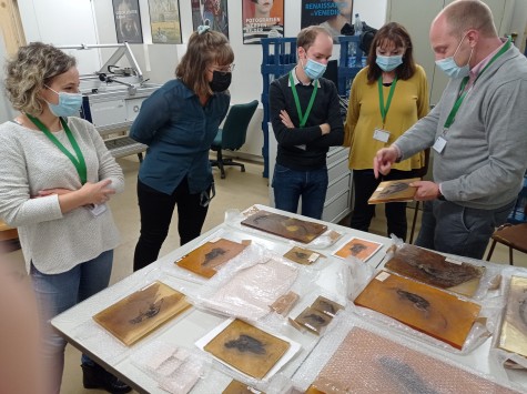 Im Oktober 2021 bereitete das Team aus Materialwissenschaftler*innen und
Paläontolog*innen [von links nach rechts: V. Rossi (Uni Cork), M. Gerken (Städel Museum), M. Colombo und B. Thybusch (TU Darmstadt), T. Lehmann (Senckenberg)] die Messel Fossilien für die Scans vor.