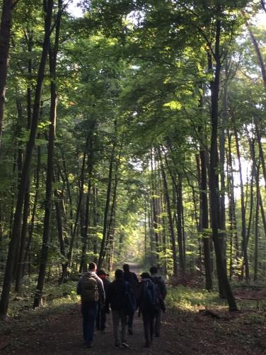 On the way to Frankenstein